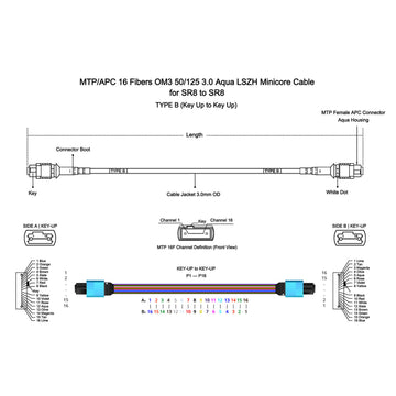 16 Fibers MTP/MPO-APC to MTP/MPO-UPC (F/F) OM3 Multimode 50/125 Fiber Trunk Cable